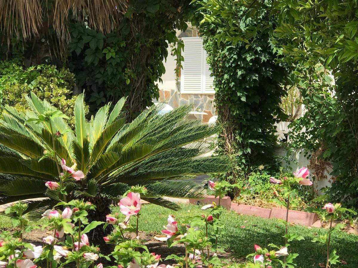 Cortijo Andaluz Panzió Alhaurín el Grande Kültér fotó